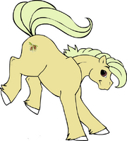 Liridon Almond.png