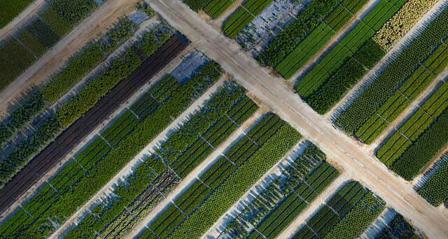 File:Bing 23.6.2011.jpg