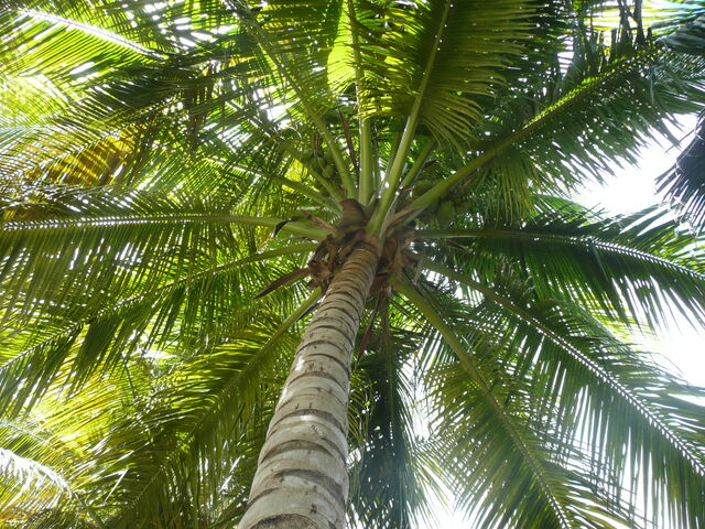Fichier:P1070122.jpg