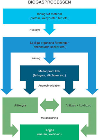 Fil:BiogasprocessenESwebb.jpg