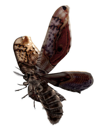 ファイル:Giant Moth.jpg