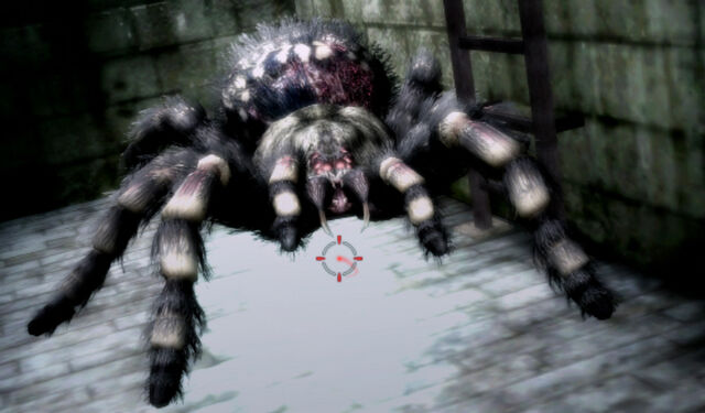 ファイル:Blacktiger.jpg