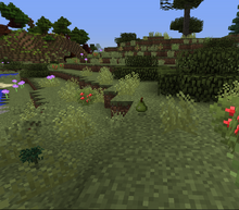 PearWillowTree