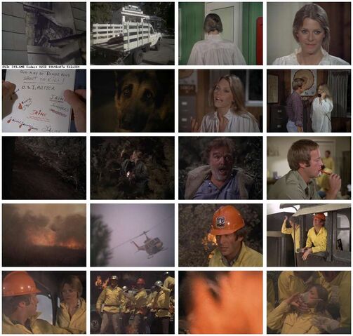 File:Th-The.Bionic.Woman.S03E02.DVDrip.XviD-SAiNTS.jpg