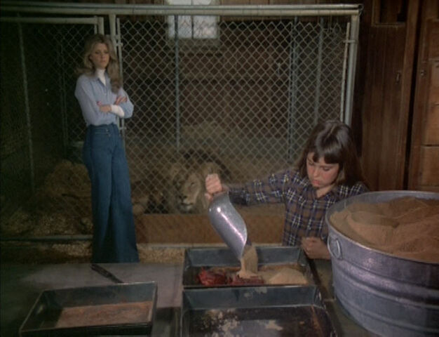 File:09 Katie Prepares Dinner.jpg