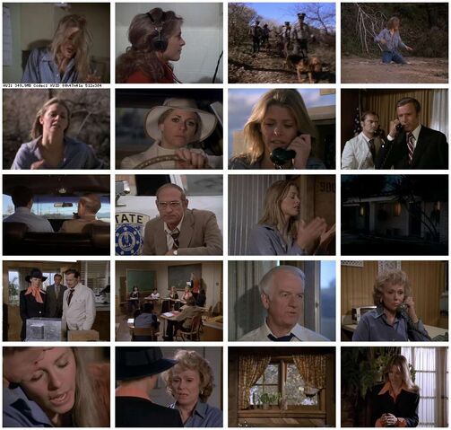 File:Th-The.Bionic.Woman.S02E16.Deadly.Ringer.Part.2.DVDrip.XviD-SAiNTS.jpg
