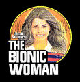 Thumbnail for version as of 07:24, January 29, 2007
