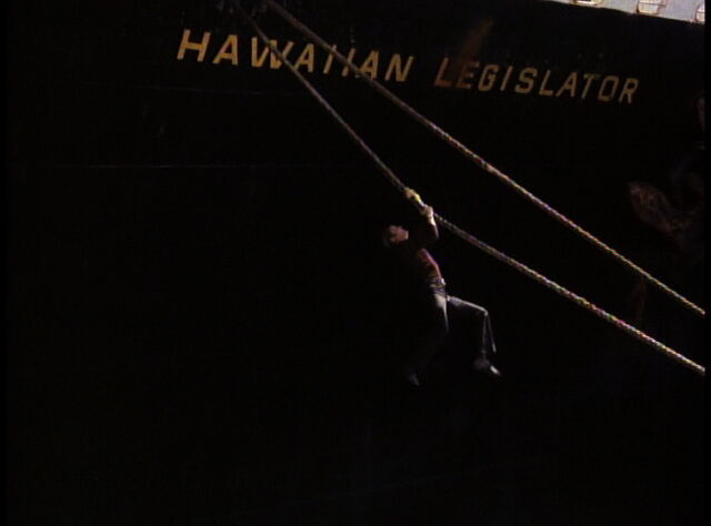 File:Hawaiin Legislator.jpg