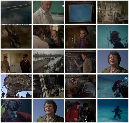 File:Th-The.Bionic.Woman.S03E17.DVDrip.XviD-SAiNTS.jpg