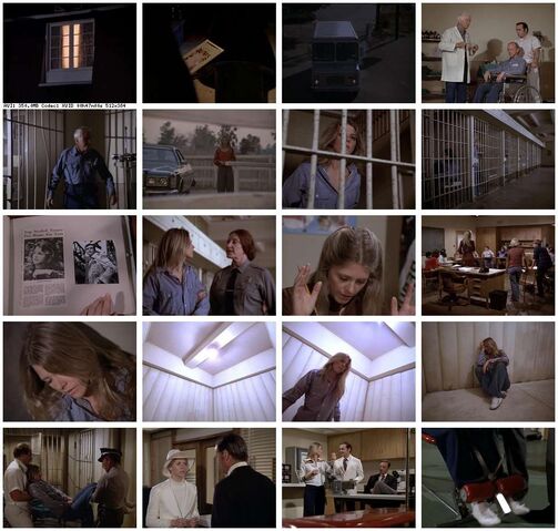 File:Th-The.Bionic.Woman.S02E15.Deadly.Ringer.Part.1.DVDrip.XviD-SAiNTS.jpg