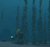 Luftgras.png
