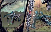 Gali&Krika.png