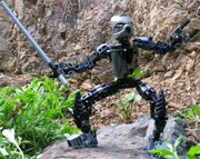 Krakua