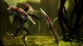 Krika.png