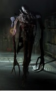 Contortion Splicer Idea