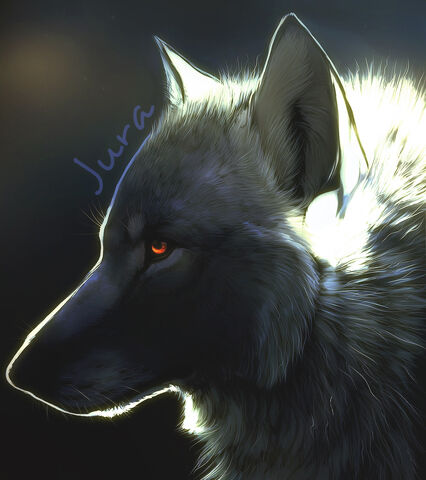 File:Wolf.jpg