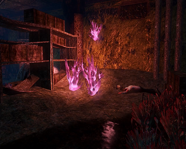 File:D Park-Basement Stor03.png