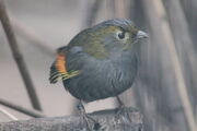 Img 30581-223632