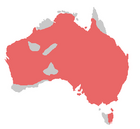 220px-Bird range galah