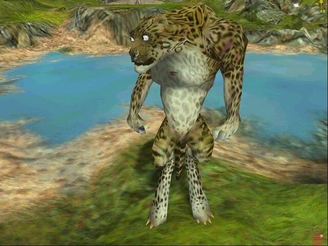 File:Leopard.jpeg
