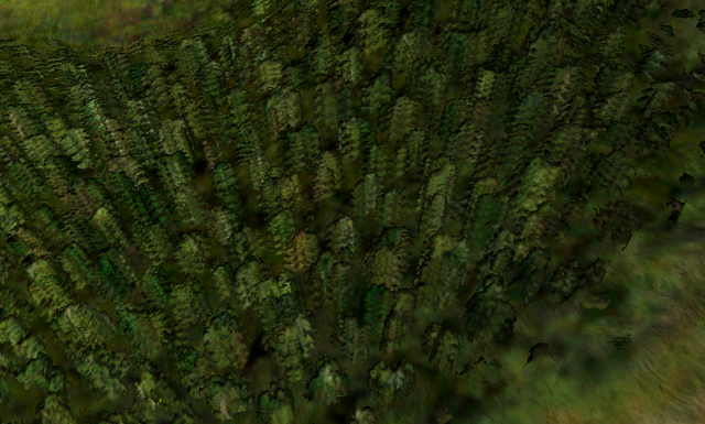 File:Forestnatural.png