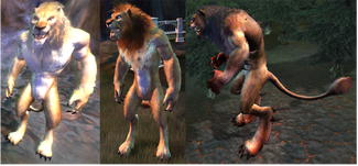 Lion Alignments