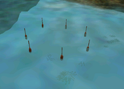 Fishingpuzzle