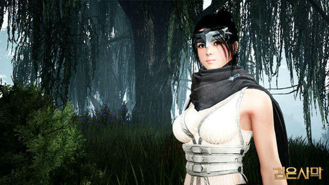 File:Capa-black-desert-kunoichi.jpg