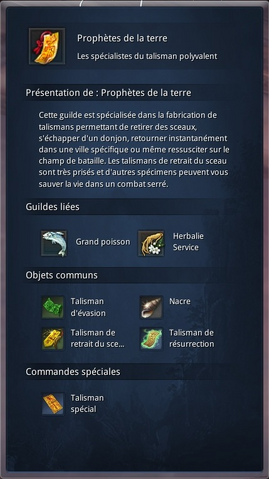 Fichier:Capturemet1.png