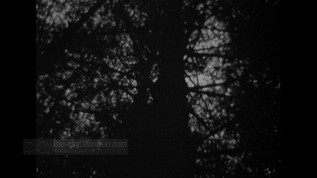 File:BDDefinition-BlairWitch-i-1080.jpg