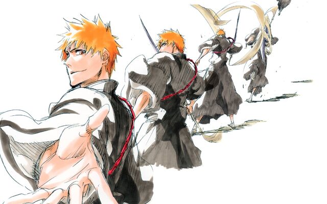 Fitxer:Bleach 1.jpg