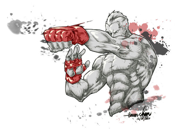File:MMA.jpg
