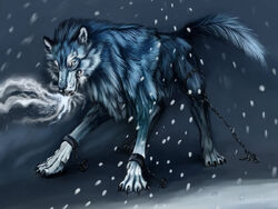 Wolf-1
