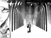 Bleach 142(2)