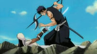 Hisagui herido.jpg