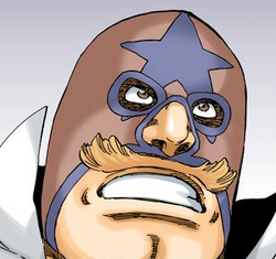543Mask profile