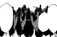 R511 Pierwsze Gotei.png