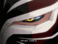 Vizard-ichigo-getsuga tenshou.gif