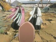 Shunsui y ukitake vs.jpg
