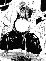 Mayuri gravemente herido.jpg