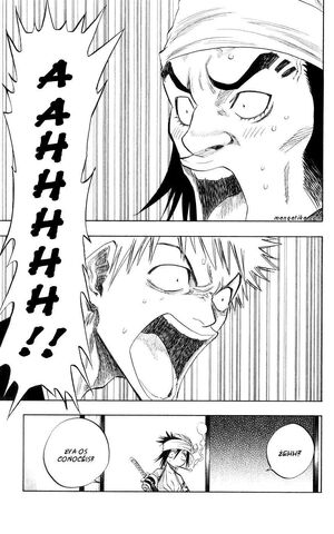 Archivo:Bleachmanga18.jpg