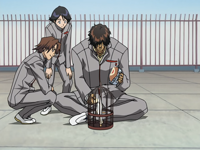 File:Ep4SadoFeedsBird.png