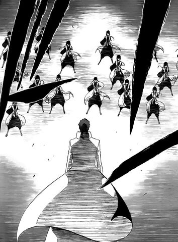 Archivo:Soifon clones2.jpg