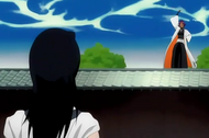 Ep208YoruichiTauntsByakuya.png