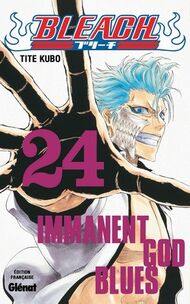 Tome 24.jpg
