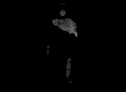 Aizen kembali.png