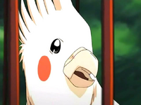 Perico.png