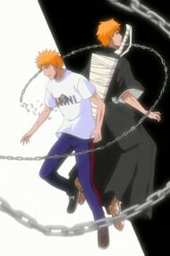 Ichigo3.jpg