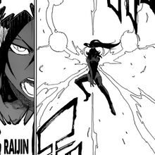 Yoruichi-shunko-raijin-senkei.png