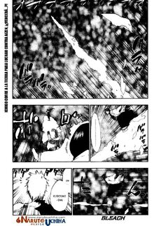 Bleach382.jpg